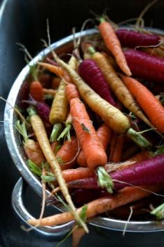 
                    
                        tips for growing carrots....I wish I had found this BEFORE I planted this year...
                    
                