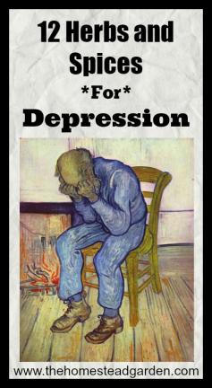 
                    
                        12 Herbs and Spices for Depression
                    
                