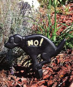 
                    
                        'No!' Doggy Sign
                    
                