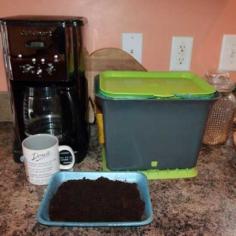 
                    
                        Composting Coffee Grounds - Of Mice and Mountain Men Blog - GRIT Magazine
                    
                