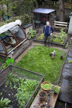 
                    
                        Urban growth: A gardening guru is getting children hooked on the joys of growing fruit and vegetables
                    
                