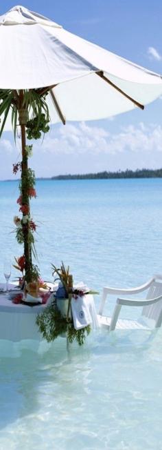 
                    
                        Bora Bora- lunch in the water!
                    
                