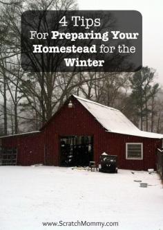 
                    
                        Winter can be serious business on the homestead. Here are some tips when preparing your homestead for winter so you and your animals can stay safe!
                    
                