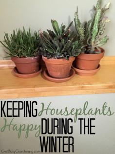 
                    
                        Indoor gardening is a fun hobby, but can be challenging during the long winter months. Learning how to keep your houseplants happy takes some practice and patience. The more you know about how to care for your houseplants, the happier you both will be. Here are tips for Keeping Houseplants Happy During The Winter | GetBusyGardening.com
                    
                