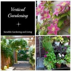 
                    
                        Vertical Gardening - a much better way to grow up. Lol!
                    
                