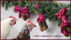 
                    
                        During a molt, chickens lose their feathers and grow new ones, which places great demands on their energy and nutrient stores. Since feathers consist of 85% protein, supplementing chickens’ diet with additional protein can help them get through the process. This protein-packed alfalfa cake recipe is a fantastic way to provide molting chickens with a variety of protein sources in one treat while keeping them entertained and active.
                    
                