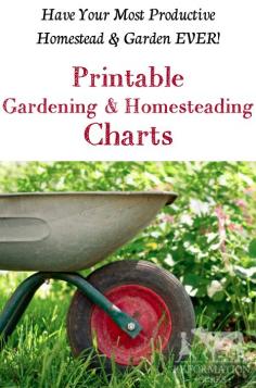 
                    
                        (Over 80) Printable Gardening and Homesteading Charts for your Home Binder!
                    
                