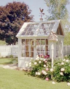 
                    
                        Garden Shed made from old school windows Rugged Thug
                    
                