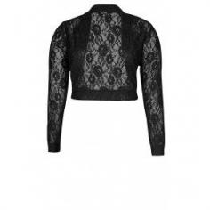 
                    
                        Our All Lace Shrug is the perfect cover up for the coming festive season. Highlighted by its sultry, sheer floral lace, this shrug features an open front and full length sleeves.
                    
                