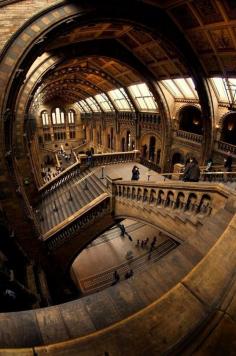 
                    
                        The Natural History Museum London
                    
                