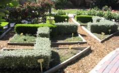 
                    
                        knot garden with herbs
                    
                