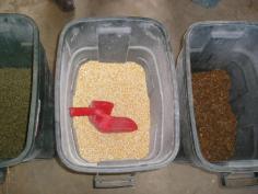 
                    
                        When There Are No Pellets  What are you going to feed your animals?
                    
                