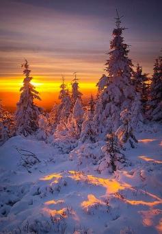 
                    
                        Mt. Sniezka - Karkonosze Mountains, Poland
                    
                