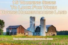 
                    
                        The Homestead Survival | 15 Warning Signs To Look For When Buying Homesteading Land | Homesteading - Buying Land - thehomesteadsurvi...
                    
                