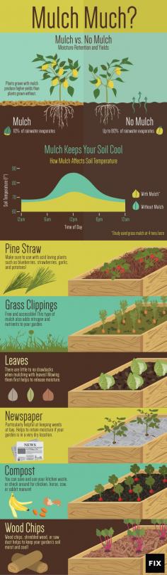 
                    
                        6 Types of Mulch to Use in Your Garden - Home Ready Home
                    
                