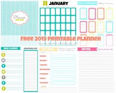 
                    
                        Free Printable 2015 Planner
                    
                