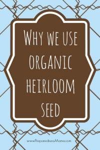 
                    
                        Why we use organic heirloom seeds PLUS a giveaway from Mary's Heirloom Seeds | PreparednessMama |
                    
                