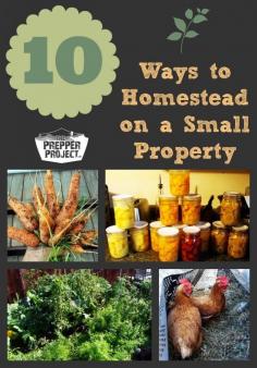
                    
                        10 Ways to Homestead on a Small Property - homestead tips and ideas.
                    
                