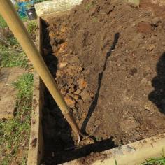 
                    
                        Building and Planting Raised Bed Vegetable Gardens: A Great Fall and Winter Idea!
                    
                