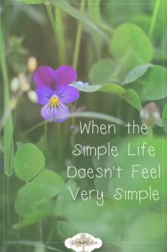 
                    
                        Can I be honest with you? This past year has been one of the most difficult I can remember. My flesh often found itself grumbling and complaining. "This is the simple life?! It doesn't feel very simple to me at all!"
                    
                