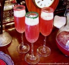 
                    
                        The Homestead Survival | Christmasy Champagne Punch Recipe
                    
                
