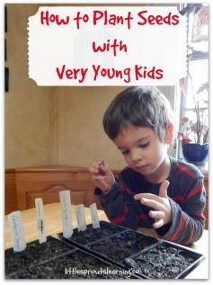 
                    
                        How to plant seed with very young kids
                    
                