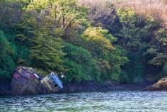 
                    
                        Shipwreck seen while kayaking along he Wild Atlantic Way, Ireland
                    
                