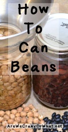 
                    
                        How To Can Beans~AreWeCrazyO...
                    
                