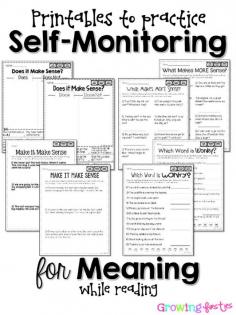 
                    
                        How I Work With Students to Self-Monitor While Reading to Look Right Sound Right Make Sense
                    
                