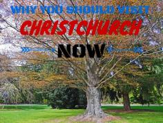 
                    
                        Why You Should Visit Christchurch Now - The Trusted Traveller
                    
                