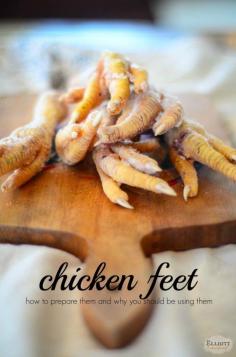 
                    
                        Chicken feet. The feets of the chicken. Boys and girls, that’s what we’re talking about today. Now, don’t go gettin’ all grossed out. Y’all are familiar with our ideals for our farm. Nothing gets wasted. And why on Earth Americans wasted these wonderful morsels is beyond me. We’ll eat fast food but we won’t simmer chicken... Read More »
                    
                