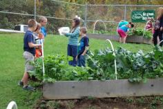
                    
                        Growing School Gardens in Winter - Student learning in the garden on October 13th. Planting must be done in advance of winter, as shorter day length slows growth dramatically. Look at how everyone is on task!
                    
                