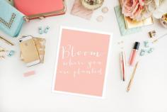 
                    
                        Gorgeous "Bloom where you are planted" free printable! Love this.
                    
                