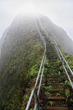 
                    
                        Stairway to heaven on Oahu, Hawaii.
                    
                