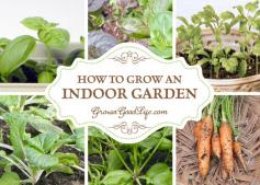 
                    
                        How to Grow an Indoor Garden | Grow a Good Life
                    
                