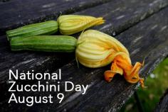 
                    
                        National Zucchini Day - August 9 - From Scratch Magazine
                    
                