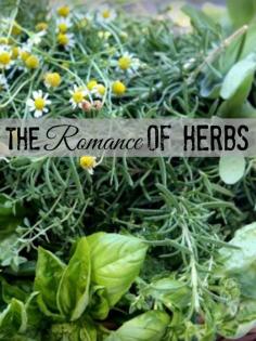 
                    
                        The Romance of Herbs
                    
                