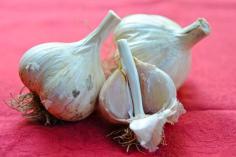 
                    
                        hardneck garlic
                    
                