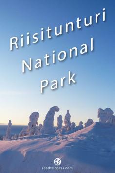 
                    
                        Riisitunturi National Park in Finland is a winter wonderland.
                    
                