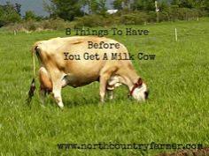 
                    
                        8 Things To Have BEFORE You Get A Milk Cow | www.northcountryf...
                    
                
