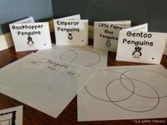 
                    
                        Penguins Informational Test Unit with 5 mini-books, printables, and vocabulary cards $
                    
                