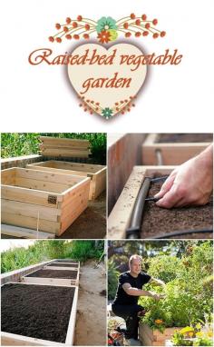 
                    
                        Raised-bed vegetable garden
                    
                