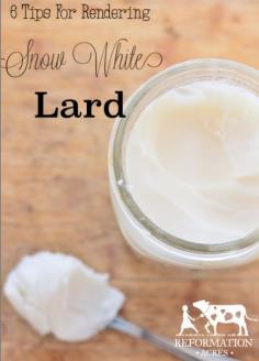 
                    
                        Rendering lard doesn't have to be tricky! Here are 6 tricks I use to get snow white lard. | www.reformationac...
                    
                