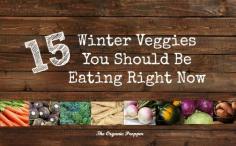 
                    
                        Infographic: 15 Winter Veggies You Should Be Eating Right Now | The Organic Prepper
                    
                