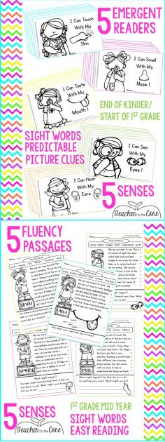 
                    
                        5 Senses: Teaching kindergarten and first graders about the 5 senses is fun with these easy readers and science experiments! The reading and writing materials will bring you results and the included tests will fill your grade book.
                    
                