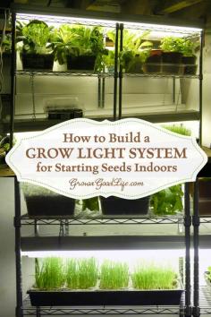 
                    
                        How to assemble a Grow Light System for Starting Seeds Indoors for around $100! | Grow a Good Life
                    
                