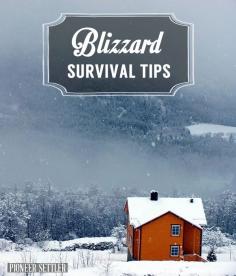 
                    
                        Blizzard survival tips, how to be prepared during winter. | pioneersettler.co...
                    
                