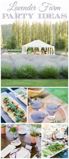 
                    
                        A catered lavender farm dinner on a perfect July evening amongst the lavender fields! See more party planning ideas at CatchMyParty.com!
                    
                