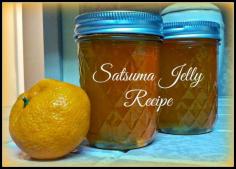 
                    
                        Greneaux Gardens: Satsuma Jelly Recipe A simple and delicious way to enjoy the leftover citrus from your fruit trees year round!
                    
                