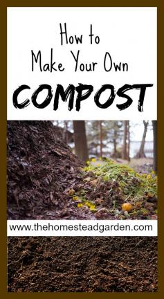 
                    
                        Learn how to make your own compost. This is simple to do, it is a frugal idea for your food scraps, and it gives your plants a very healthy soil in which to thrive.
                    
                